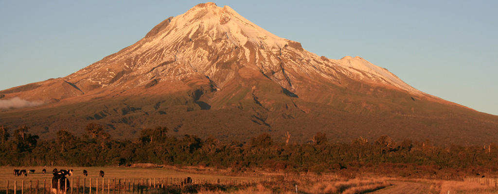 Mt Egmont Kahui