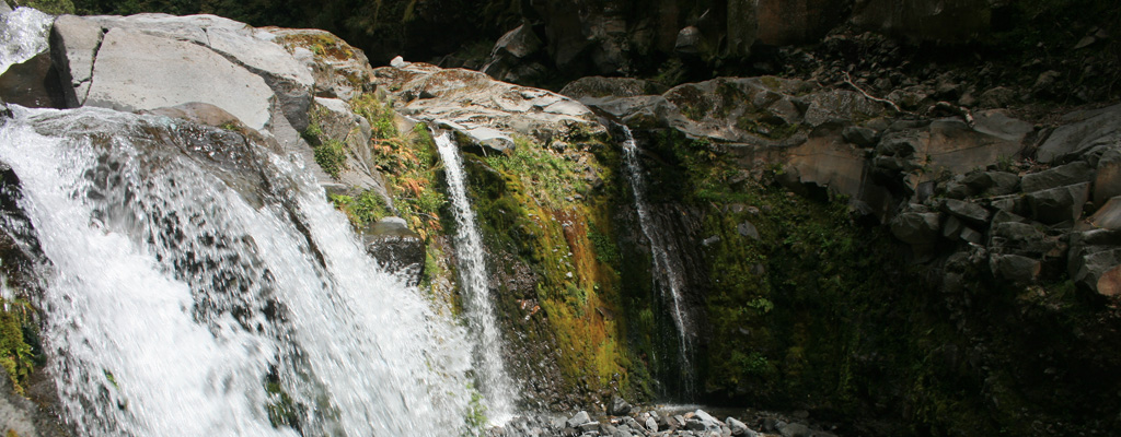 Curtis Falls
