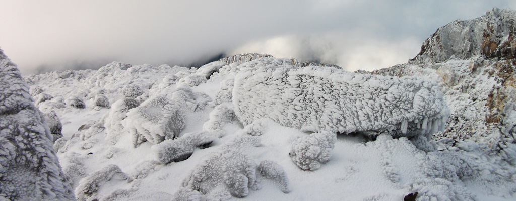 Mt Egmont Crater (Grant Upson)